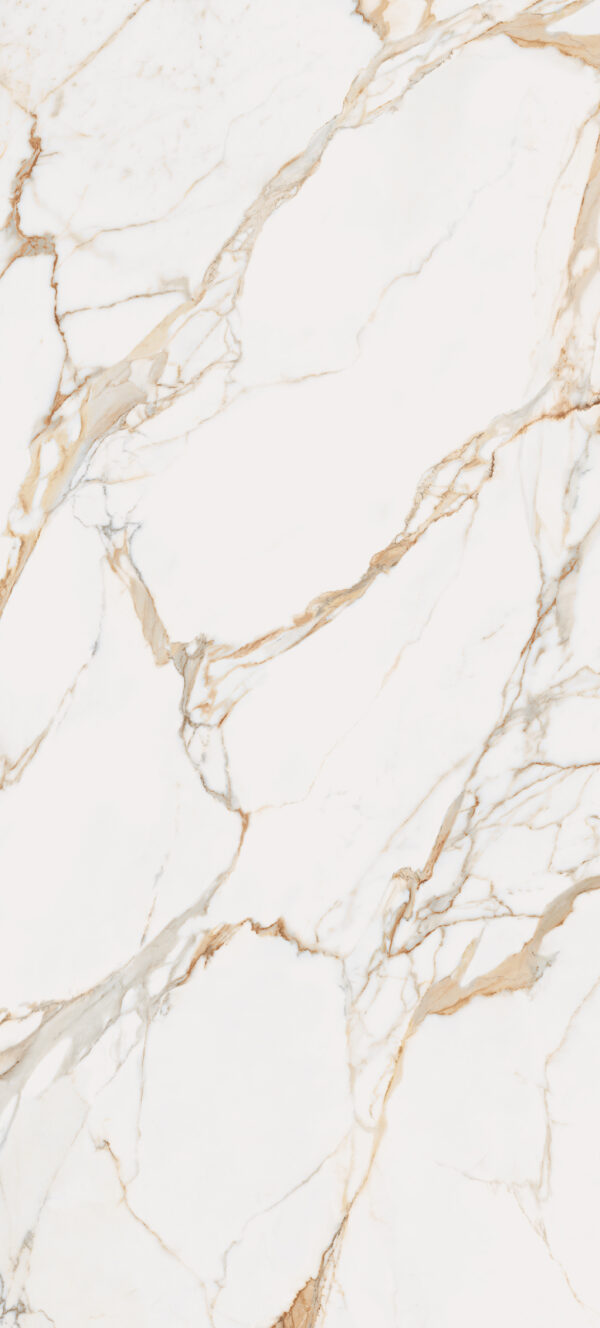 GOLD CALACATA – Image 2